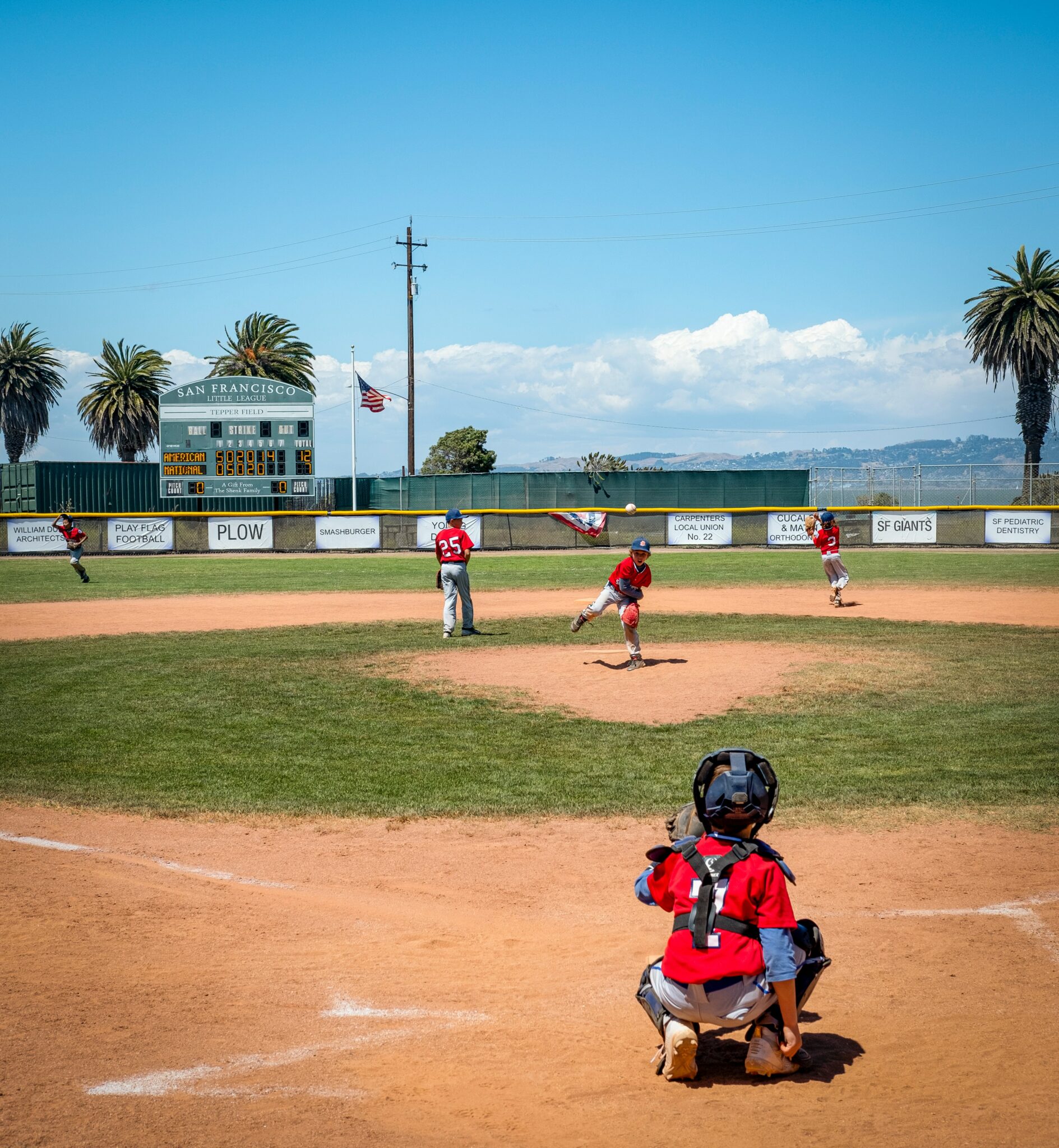 Youth Pitching & Pitch Counts National Pitching Tom House Sports LLC
